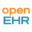 openEHR
